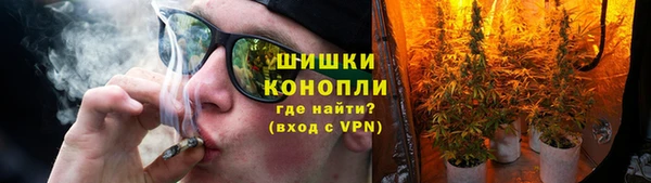 ГАЛЛЮЦИНОГЕННЫЕ ГРИБЫ Алзамай