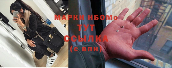 ГАЛЛЮЦИНОГЕННЫЕ ГРИБЫ Алзамай