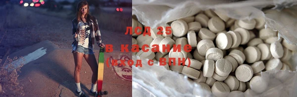 ГАЛЛЮЦИНОГЕННЫЕ ГРИБЫ Алзамай