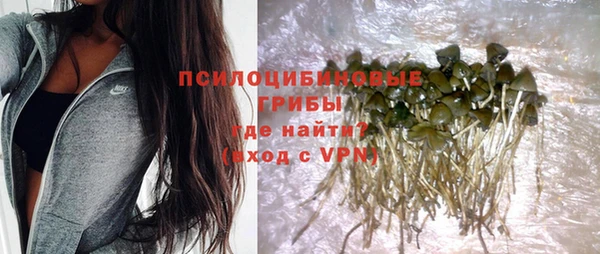 ГАЛЛЮЦИНОГЕННЫЕ ГРИБЫ Алзамай
