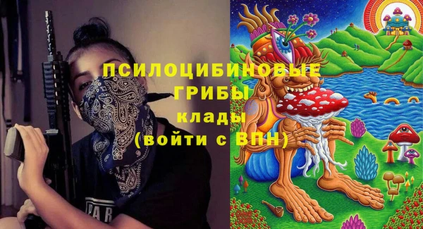 ГАЛЛЮЦИНОГЕННЫЕ ГРИБЫ Алзамай