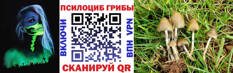 OMG зеркало  Конаково  Галлюциногенные грибы мухоморы 