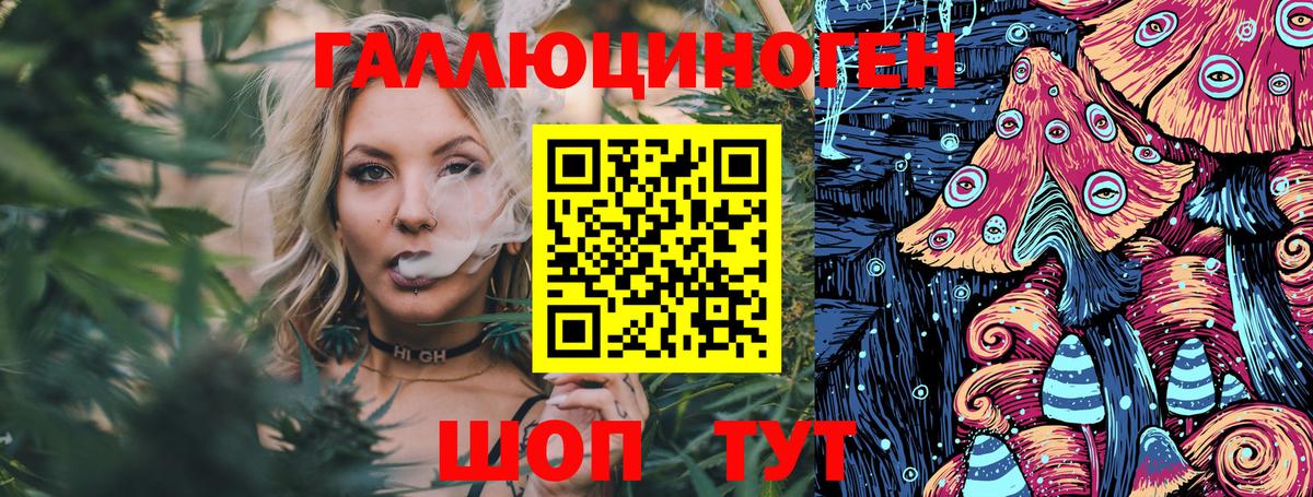 Псилоцибиновые грибы Psilocybe Конаково