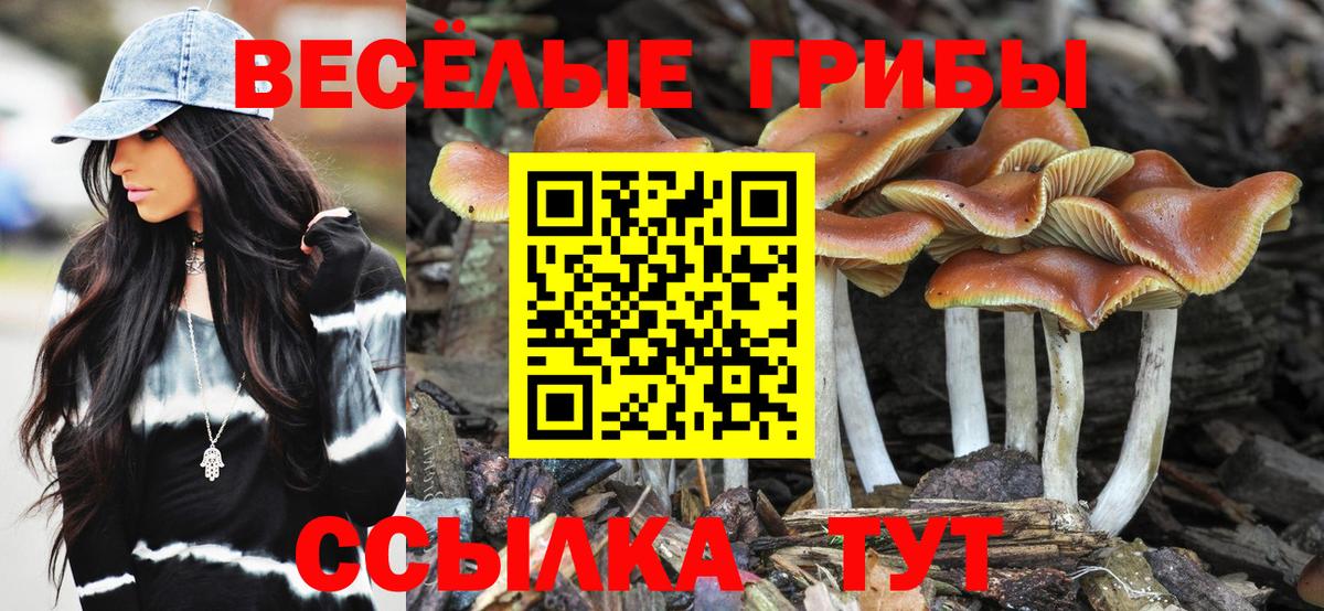 как найти наркотики  Вход с VPN  Конаково  Галлюциногенные грибы GOLDEN TEACHER 