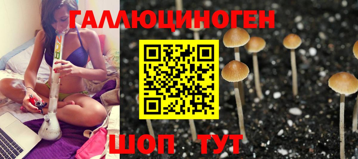 Меф   Конаково  Cocaine  Купить наркотик  А ПВП СК   Канабис  Гашиш  Вход с VPN  Экстази 